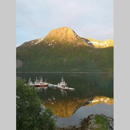Апартаменты Waterfront Senja 3 Torsken Экстерьер фото